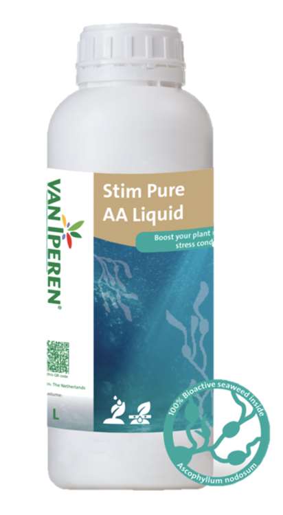 Stim Pure AA Liquid 